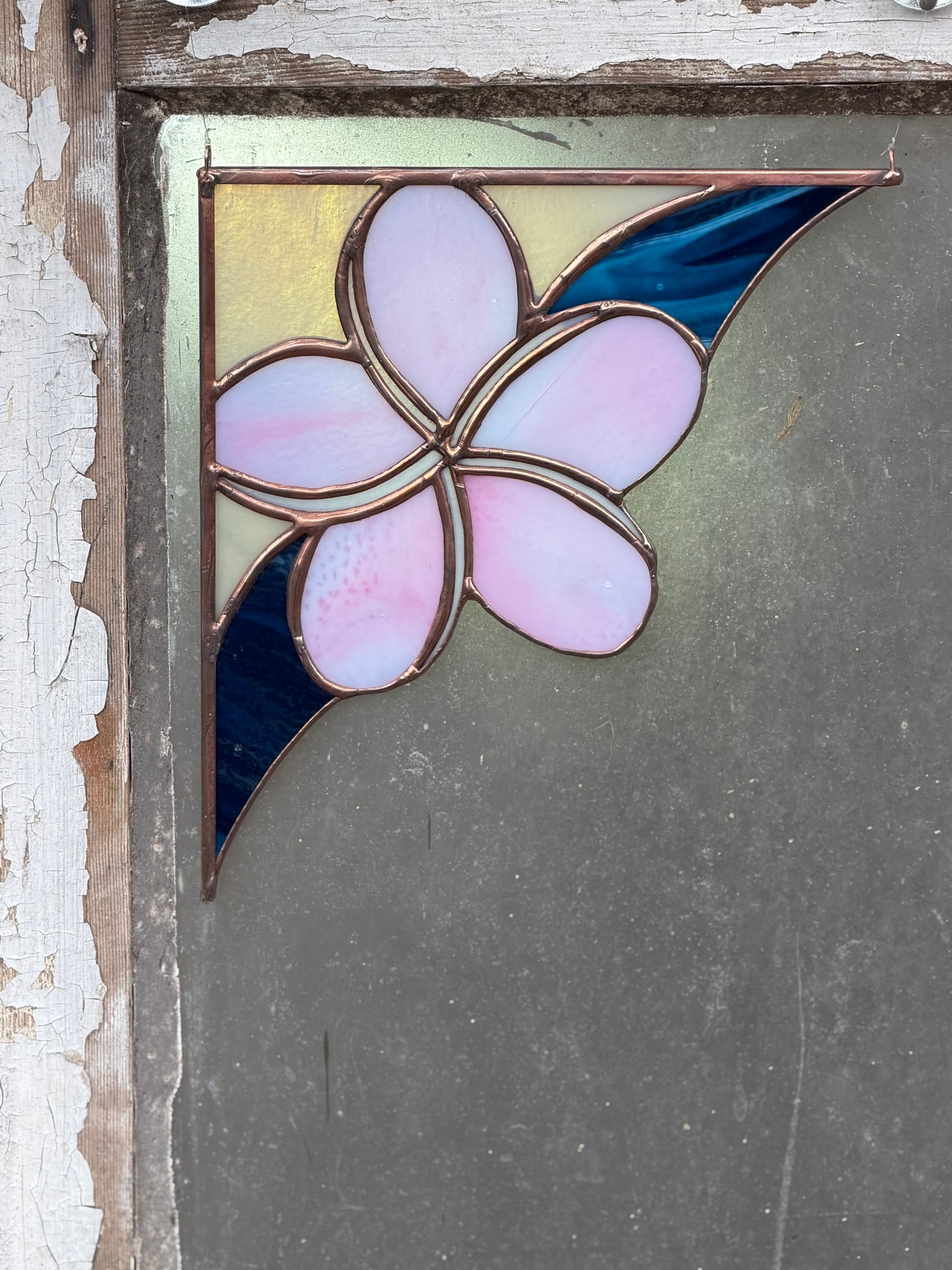 Plumeria