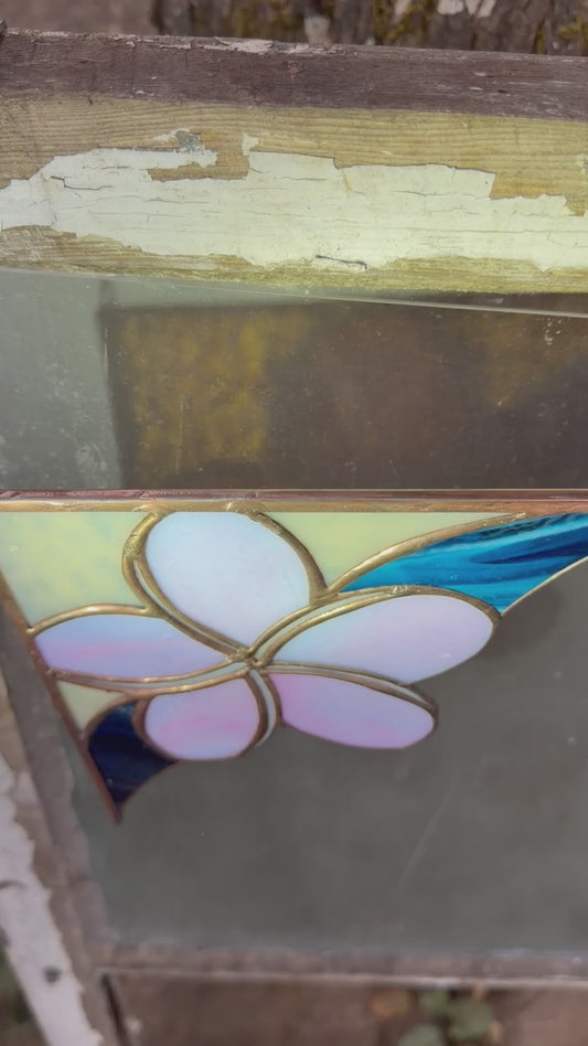 Plumeria